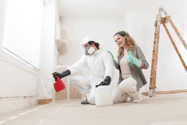 Best Commercial Mold Inspection  in Park City, MT