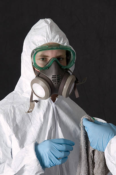 Best Mold Remediation for Healthcare Facilities  in Park City, MT